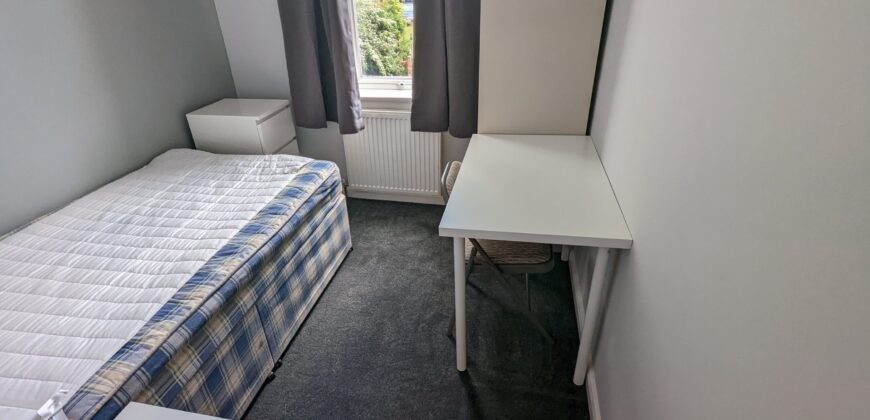 Spacious Superior 6 Double Bed 3 Bath House, Massive Communal Lounge / Kitchen