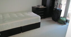 NEW RENOVATION, Spacious 6 Double Bed 3 Bath House, Ideal for London Road Campus, Hospital
